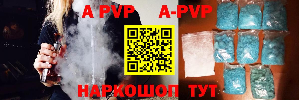 Alfa_PVP СК Кондопога