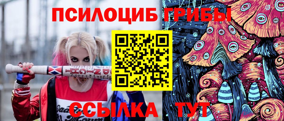 Псилоцибиновые грибы Cubensis  Галлюциногенные грибы Cubensis  Вход с VPN  Кондопога 