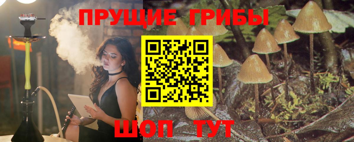 Псилоцибиновые грибы MAGIC MUSHROOMS Кондопога